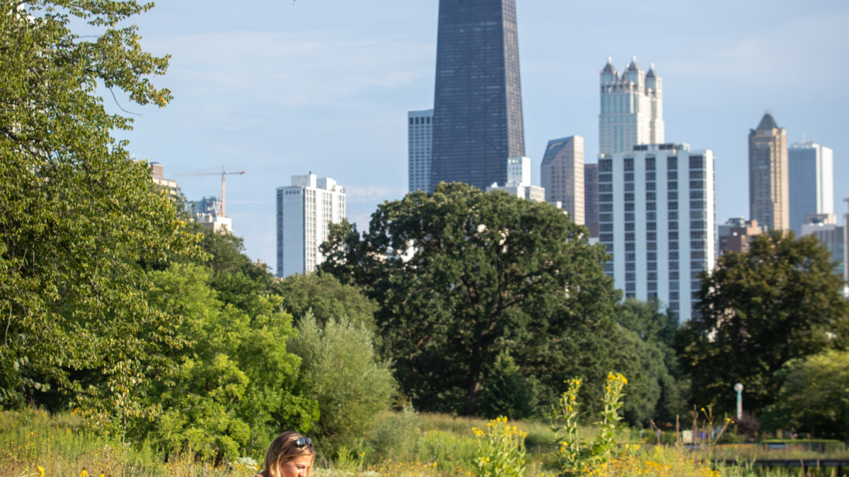 Cassidy & Kyle’s Chicago Proposal in Lincoln Park